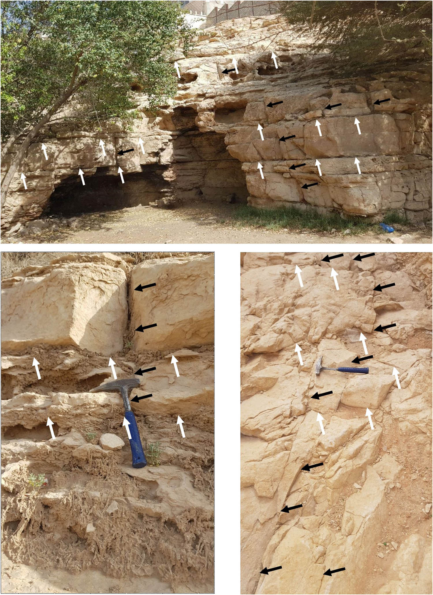Figure 7
Field photograph showing the vertical (denoted by black arrows) and sheet-like fractures (denoted by white arrows) that dissected the Jubaila carbonate rocks around the Namar dam.