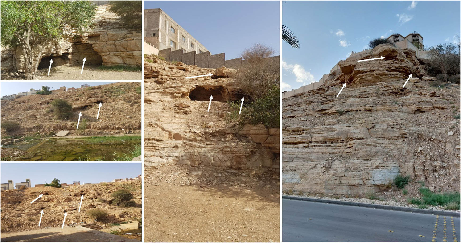 Figure 11
Field photograph showing the dominant cavity karst features in the Jubaila carbonate rocks (white arrow denotes cavity karst features).