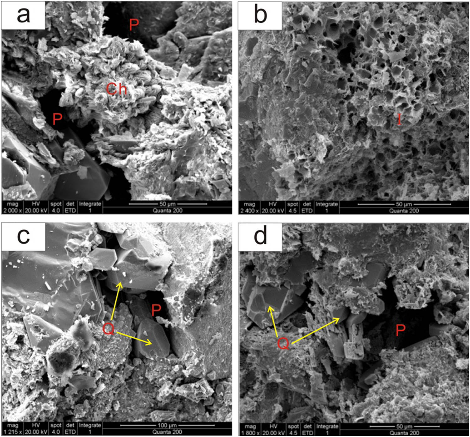Figure 10
Main cement types in sandstone.
