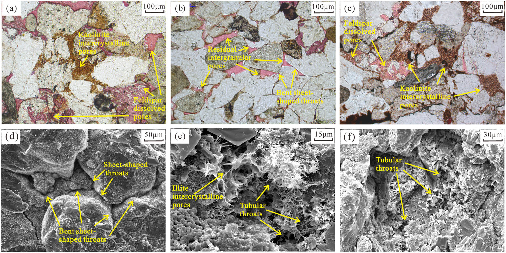 Figure 3 
                  Pore and throat types of typical samples: (a) Feldspar dissolution pores and kaolinite intercrystalline pores, L54, 2184.94 m; (b) residual intergranular pores and bent sheet-shaped throats, H36, 2,074.37 m; (c) kaolinite filled the feldspar dissolved pores and formed intercrystalline pores, H13, 2673.59 m; (d) development of sheet-shaped and bent sheet-shaped throats, and the chlorite film attached to the surface of the particles, L71, 2331.25 m; (e) illite filled pores and formed intercrystalline pores and tubular throats, H37, 2088.72 m; (f) kaolinite filled pores and formed a tubular throat, H21, 2183.01 m.
               