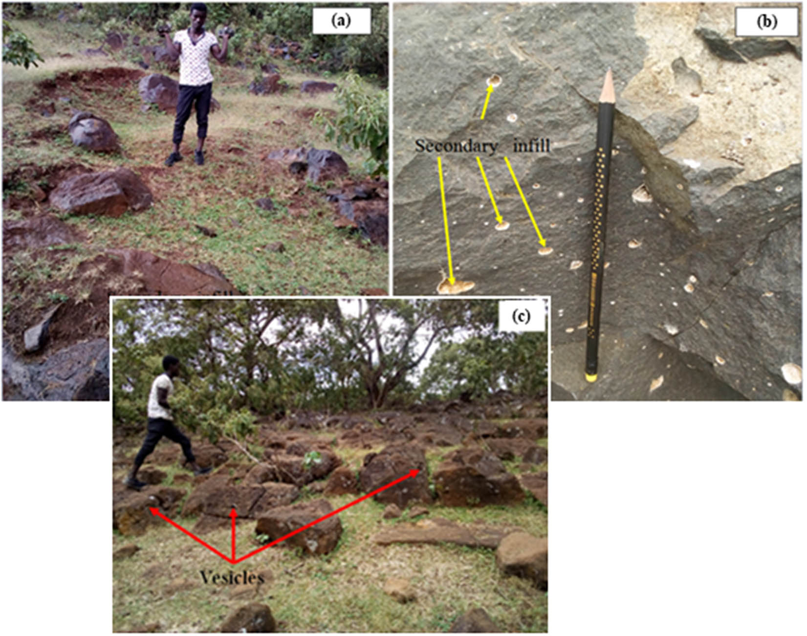 Figure 3 
                     Field photographs of amygdaloidal basalt from different representative outcrops. (a) The amygdaloidal basalt from the hilltop, with minerals of quartz, zeolites, calcite, and dolomite infills. (b) The amygdaloidal basaltic unit from the quarry site has quartz, zeolites, calcite, and dolomite minerals in the fills. (c) Vesicular basalt from the hill top.