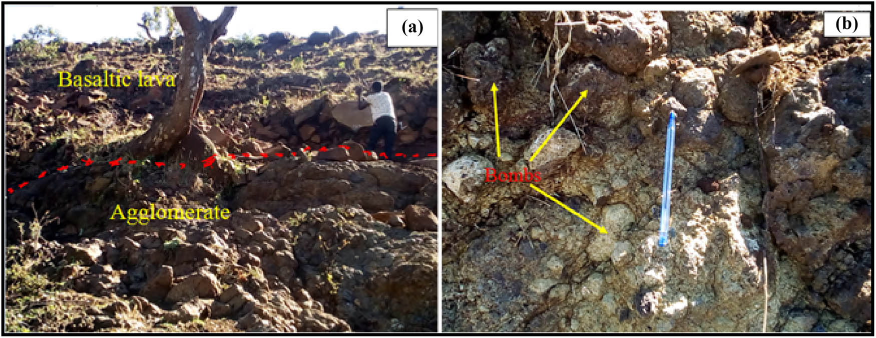 Figure 5 
                     (a) Field photographs of agglomerate from different representative outcrops. (a) The agglomeratic unit from the hillside with fragments of volcanic rocks having different shapes ranging from sub-angular to sub-rounded pebbles, blocks, and bombs of scoria and basalt rock fragments within a fine ash and lapilli matrix; this is overlain by stratified basaltic lava. (b) The agglomeratic unit from a hilltop with different-sized and shaped clasts of volcanic rocks and basalts ranges from sub-angular to sub-rounded pebbles, blocks, and bombs of scoria and basalt rock fragments within a fine ash and lapilli matrix.