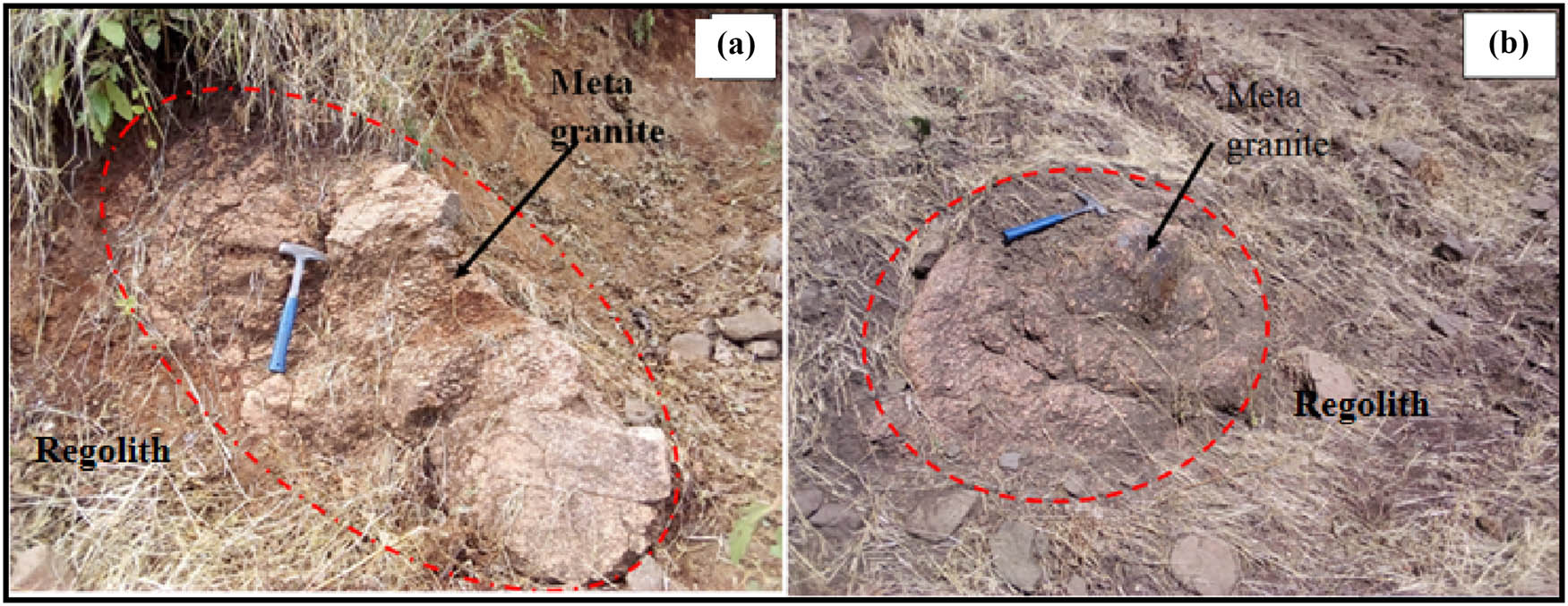 Figure 6 
                     Field photographs of meta-granites (a and b) from different representative outcrops, surrounded by transported and residual regolith.