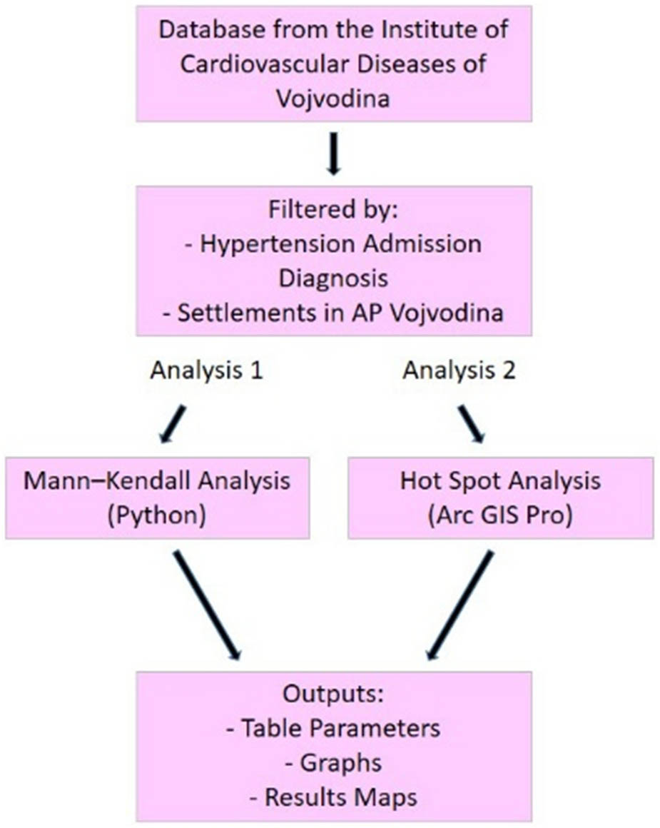 Figure 4
The initial stage of the research process.