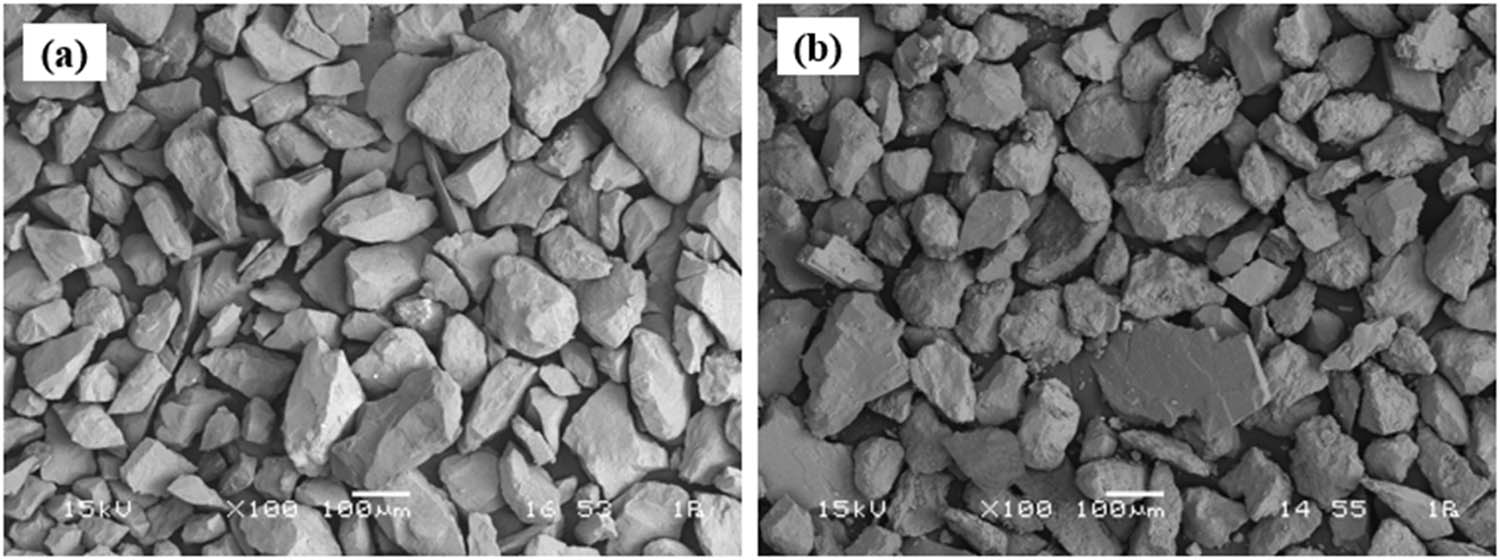 Figure 3
Scanning electron microscopy (SEM) images of the materials after the sieving process: (a) olivine and (b) sand (magnification ×100, scale bar = 100 µm).