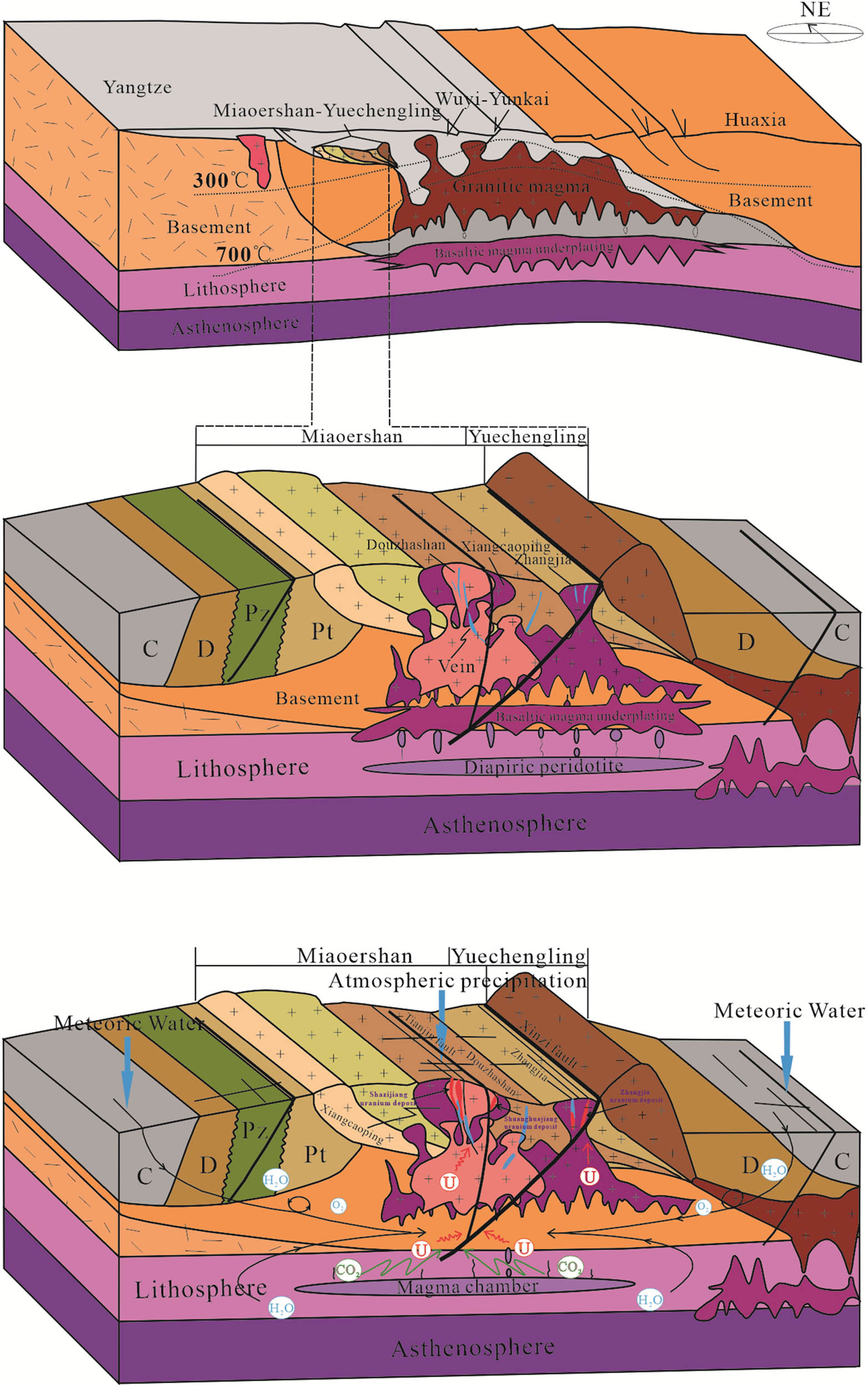 Figure 6 
                  Uranium metallogenic model map of the Miaoershan granite-related uranium deposit [18].
               