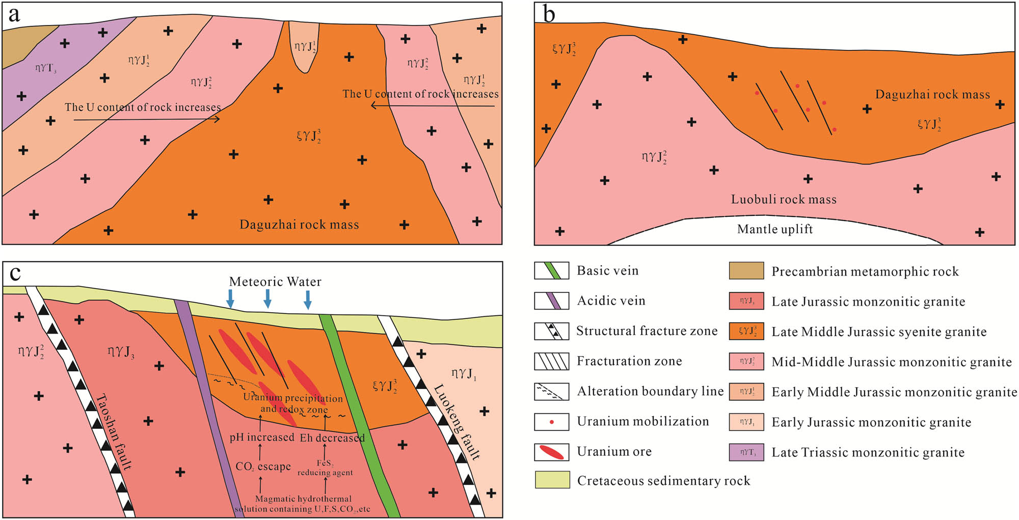 Figure 8 
                  Metallogenic model of the Dabu uranium deposit: (a) Uranium-rich rock formation (Indosinian). (b) Pre-enrichment (Middle Yanshan). (c) Mineralization (Late Yanshan) [19].
               
