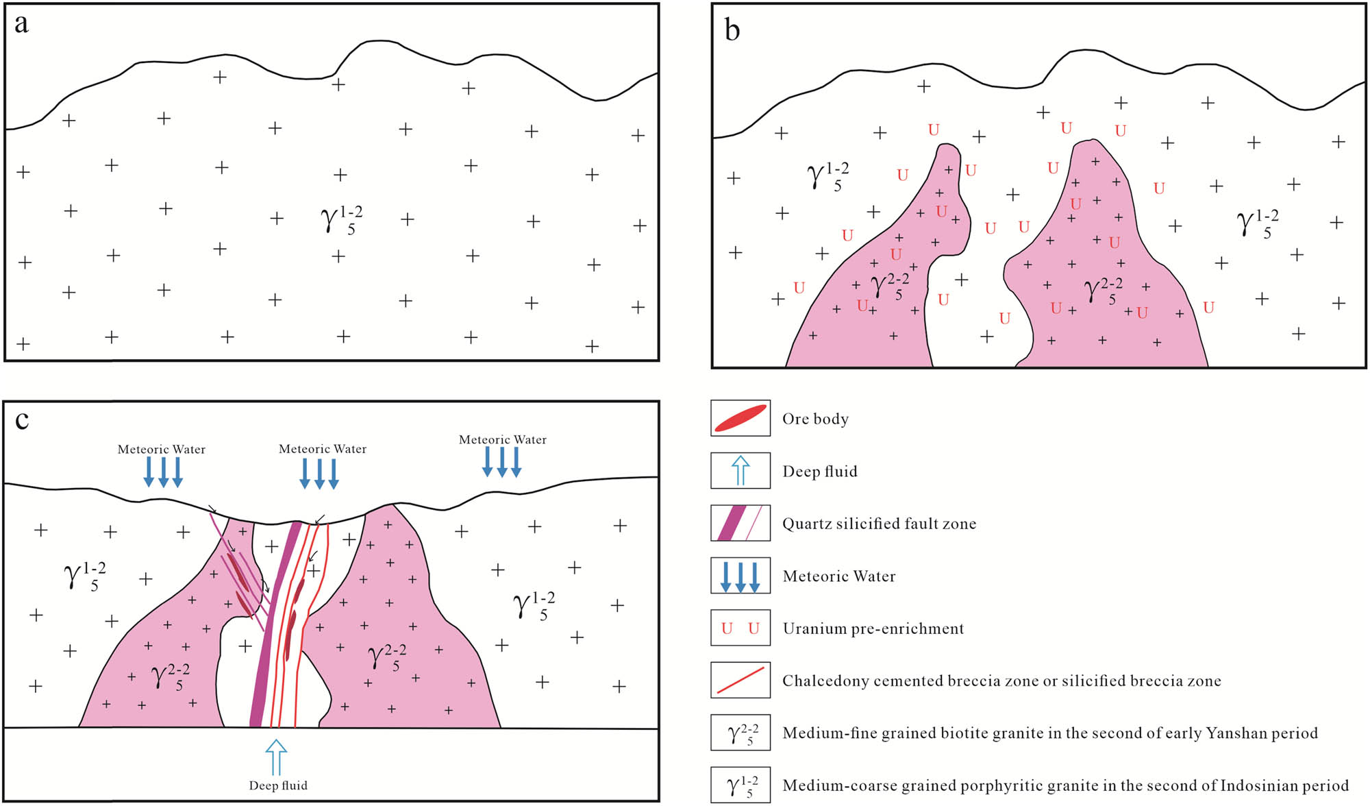 Figure 11 
                  Metallogenic model diagram of the Yangjiaonao uranium deposit. (a) First stage. (b) Second stage. (c) Third stage [20].
               