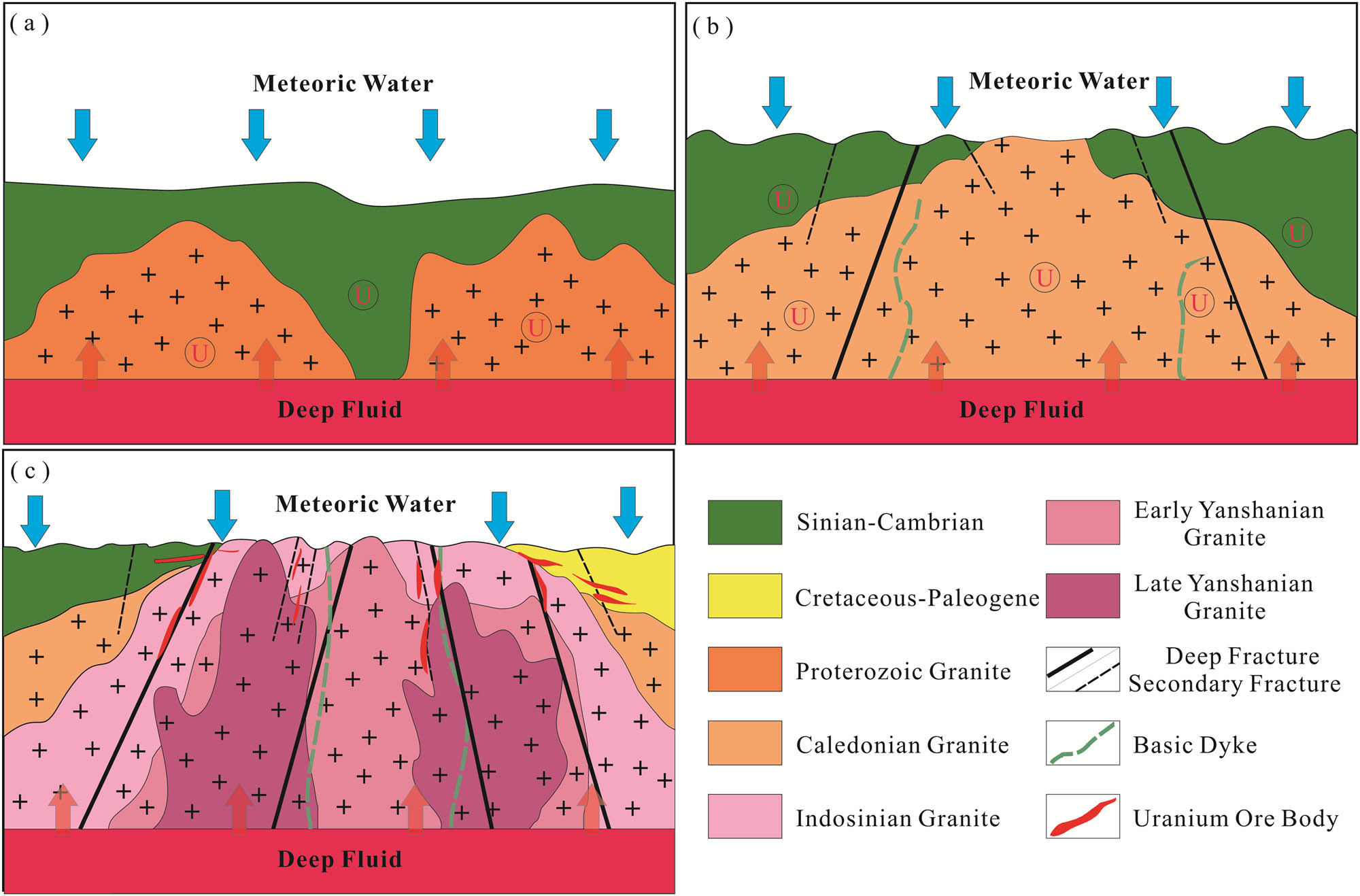 Figure 12
Metallogenic model diagram of granite-related uranium deposits in South China. (a) Proterozoic-Early Paleozoic. (b) Late Paleozoic-Mesozoic. (c) Late Mesozoic-Cenozoic.