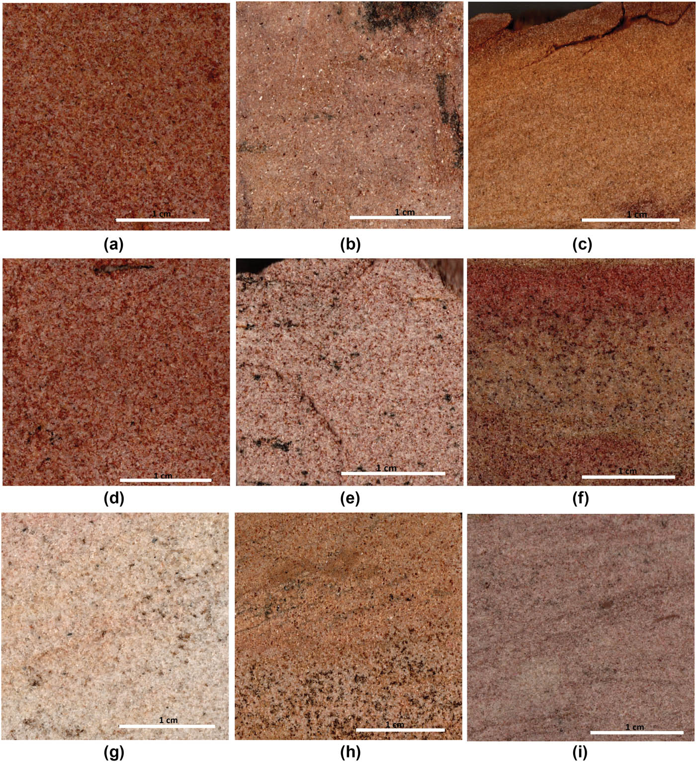 Figure 5
Polished slabs of the Phra Wihan samples. Scale bars = 1 cm. (a) 19PW01, (b) 19PW02, (c) 19PW03, (d) 19PW04, (e) 19PW05, (f) 19PW06, (g) 19PW08, (h) 19PW09, (i) 19PW10.