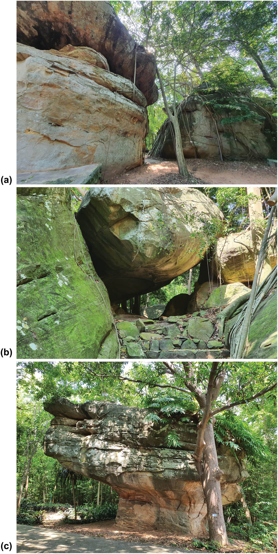 Figure 17
Geomorphic features at Wad Khao Chan Ngam locality. (a) Jointed sandstone block; (b) sandstone cave; and (c) mushroom rock.