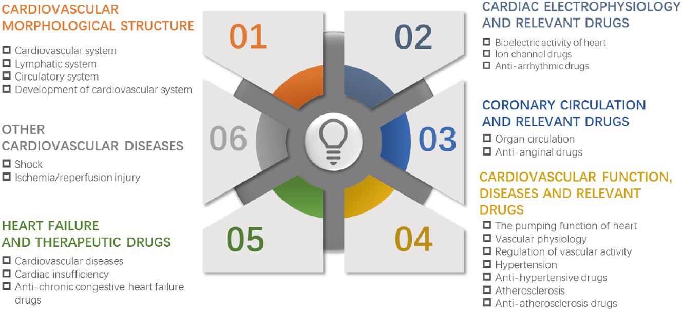 Figure 1:
Diagram of an integrated curriculum centered on the cardiovascular system. The “cardiovascular system” curriculum was divided into six functional parts, including cardiovascular morphological structure, cardiac electrophysiology and relevant drugs, coronary circulation and relevant drugs, cardiovascular function, diseases, and relevant drugs, heart failure and therapeutic drugs, and other cardiovascular diseases.