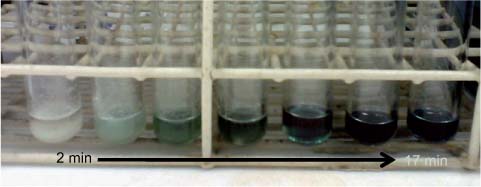 Figure 2 Color changes of the reaction media through time under microwave irradiation.