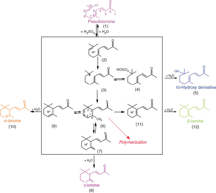 Figure 6 Reaction scheme of the cyclization of pseudoionone. Adapted from [21].