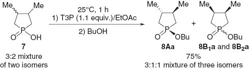 Scheme 16 Esterification of 1-hydroxy-3,4-dimethylphospholane oxide in the presence of the T3P reagent.