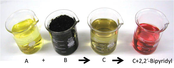 Figure 1 Photographic image of the reagents: (A) ferric chloride anhydrous solution (FeIIICl3) with (B) tea dregs or coffee grounds and (C)  the product of the reaction. The detection of reduced Fe was made by adding 2,2′bipyridyl to the C solution. The red color indicates the  presence of ferrous iron.