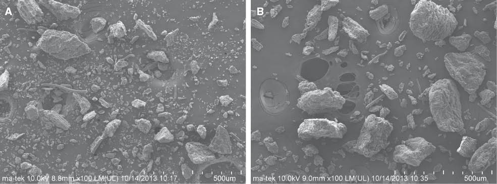 Figure 2 Scanning electron microscopy (SEM) images of ‘green’ (A) TEA-Fe and (B) CAF-Fe catalysts.