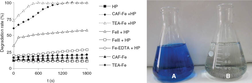 Figure 6 Effect of ‘green’ Fe catalysts and 10 mm hydrogen peroxide (HP) on degradation rate of 0.017 mm methylene blue (MB). Degradation rate versus time of MB with 10 mm HP, MB with 0.1 mm Fe as CAF-Fe and 10 mm HP (CAF-Fe+HP), MB with 0.1 mm Fe as TEA-Fe and 10 mMHP (TEA-Fe+HP), MB with 0.1 mm Fe as ferrous chloride tetrahydrate (FeII+HP), MB with 0.1 mm Fe as ferric chloride anhydrous (FeIII+HP), MB with 0.1 mm Fe as Fe-EDTA (Fe-EDTA+HP), MB with 0.1 mm Fe as CAF-Fe only (CAF-Fe) and MB with 0.1 mm Fe as TEA-Fe (TEA-Fe). The picture shows (A) HP and (B) TEA-Fe+HP treatments, respectively.