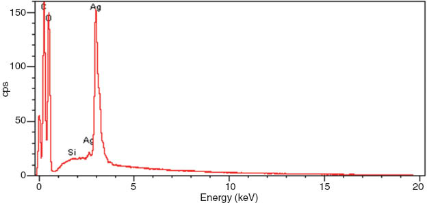 Figure 3 Energy dispersive X-ray analysis of silver-polyvinyl alcohol nanocomposite.