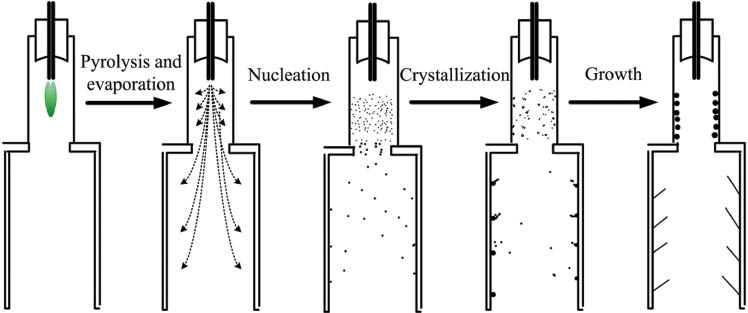 Figure 6 Growth mechanism of nanostructured MgO powders in the radio frequency (RF) thermal plasma system.