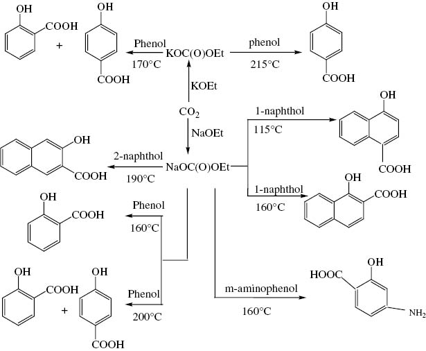 Scheme 3: Pathways of the studied reactions.