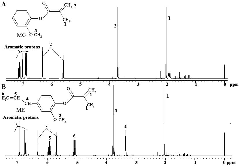 Figure 4: 1H-NMR of (A) ME and (B) MG.