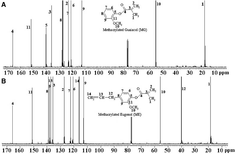 Figure 5: 13C-NMR of (A) ME and (B) MG.
