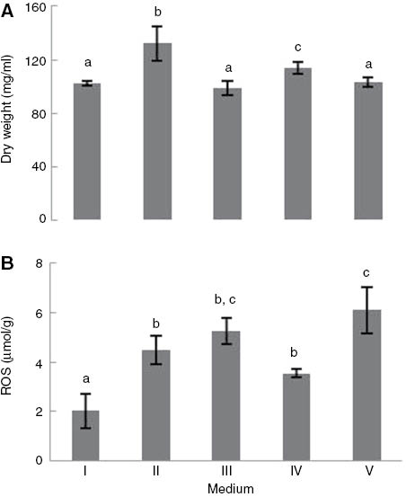 Figure 1: (A) Wet weight and (B) ROS content of Saccharomyces cerevisiae UE-ME3 grown in I- YEPG medium, II- YEPGD medium, III- YEPGD medium and 5 μg/ml TiO2-NP add at 100 min, IV-YEPGD medium with heat shock (28/40°C) at 100 min,V-YEPGD medium and 5 μg/ml TiO2-NP with heat shock (28/40°C) at 100 min. The results represent the mean of five independent experiments±standard error of mean. The bars marked with different letters (a-c) are significantly different, in accordance with the Duncan test (p<0.01).