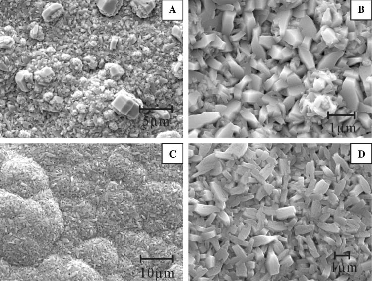Figure 3: SEM micrographs of TiB2 films. (A, B) and (C, D) are the microstructure of TiB2 films deposited at 800 and 1500 W of power, respectively.