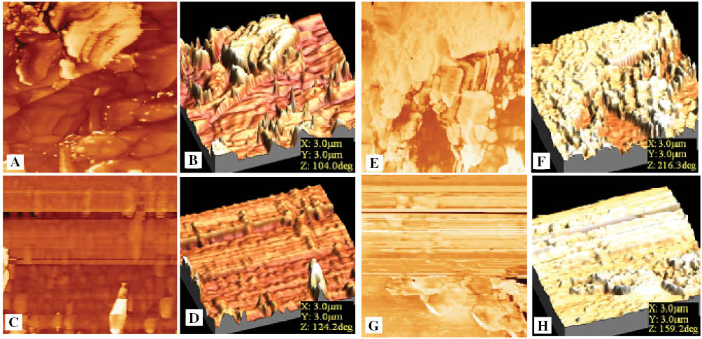 Figure 7: Tapping mode AFM images of (A, B) BPA-SPAES, (C, D) cr-BPA-SPAES-11 and (E, F) 6F-SPAES (G, H) cr-6F-SPAES-11 membranes, respectively.