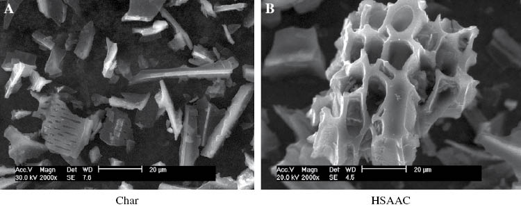 Figure 8: Scanning electron microscopy (SEM) image of char and high surface area activated carbon (HSAAC).