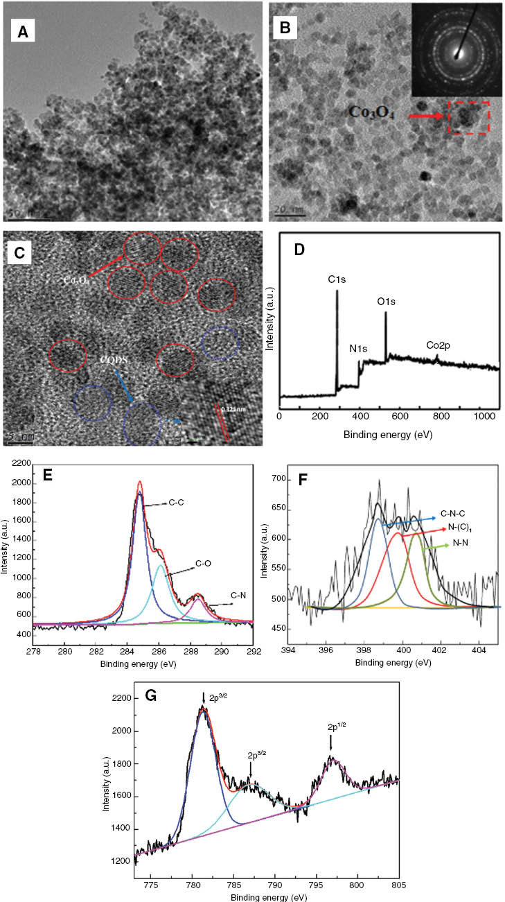 Figure 5: (A), (B) and (C) transmission electron microscopy (TEM) images of the as-synthesized Co/N/C. The inset in (B) is the diffraction rings of Co3O4 marked in the red dash rectangle in (B), and the inset in (C) is the high-resolution TEM (HRTEM) image of crystalline C marked in the blue circle in (C). (D) The full X-ray photoelectron spectroscopy (XPS) scan of Co/N/C. (E) High resolution of C1s, (F) N1s and (G) Co2p spectra of Co/N/C.