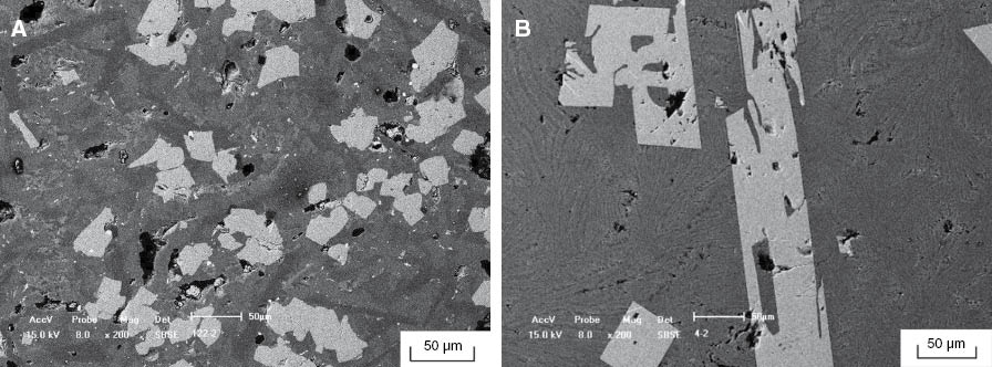 Figure 1: Back scattering microscopic morphology of the modified slag: (A) before modification; and (B) after modification.