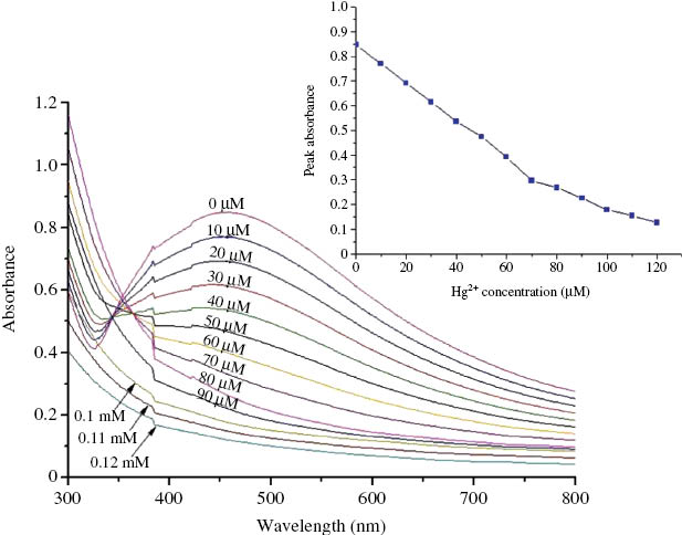 Figure 8: Change of absorbance with Hg2+ concentration; inset figure shows the variation of peak absorbance with Hg2+ concentration.