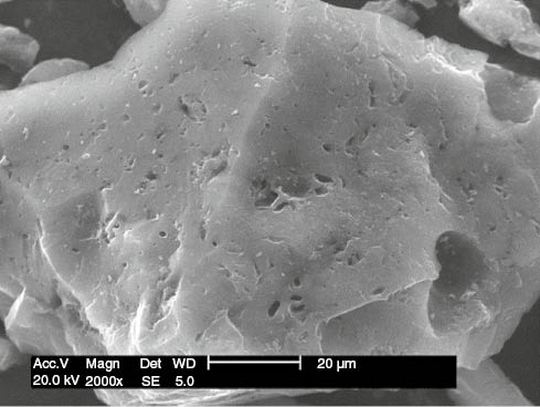 Figure 9: Scanning electron microscopy (SEM) image of activated carbon derived from walnut shell char.