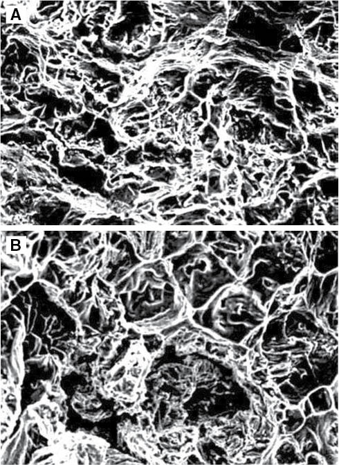 Figure 8: (A) scanning electron microscopy (SEM) showing the tensile fracture surface of composite with 5% addition; (B) SEM image of tensile fracture Al-7% V2O5.