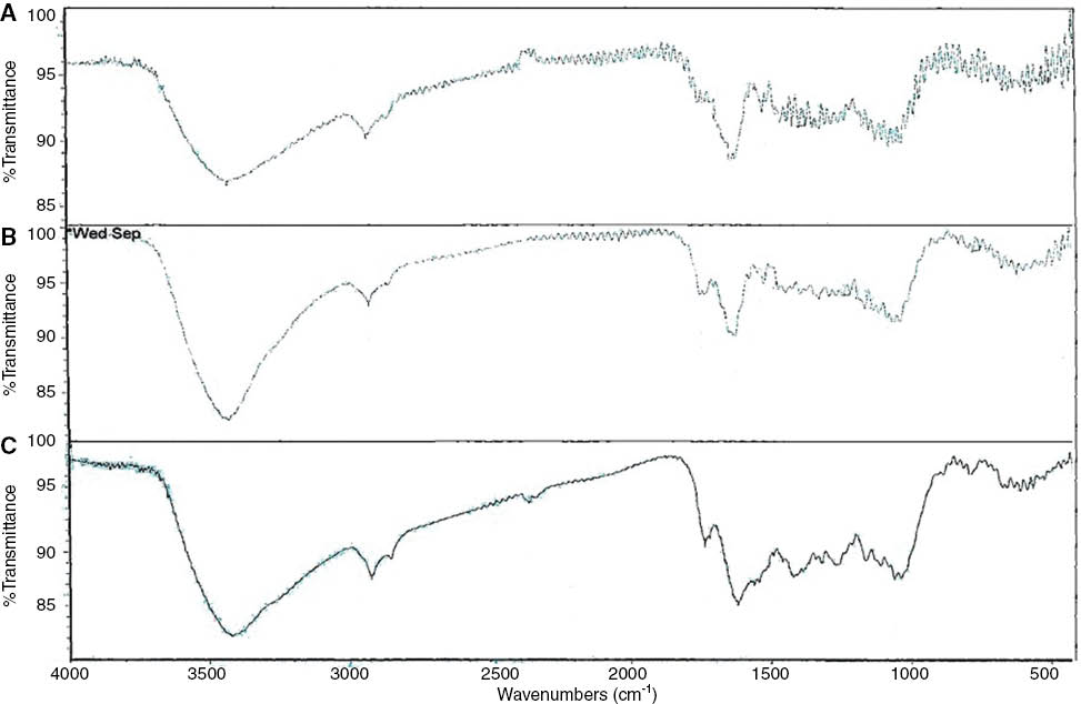 Figure 1: FTIR spectra of RR (A), STRR (B) and Pb(II) ions loaded STRR (C).