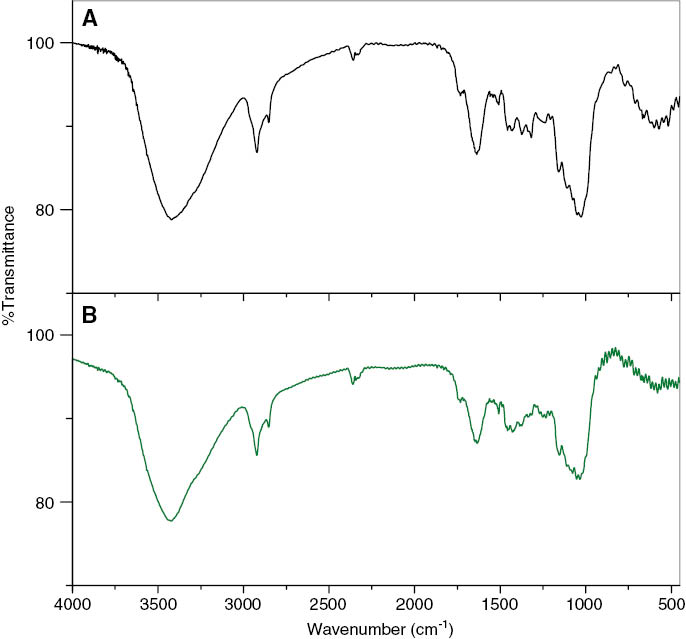 Figure 1: Fourier transform infrared spectroscopy (FTIR) of Ziziphus spina-christi L. (ZscL) (A) and Hg(II) ions-loaded ZscL(B).