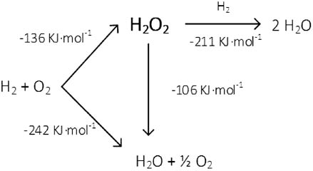 Scheme 1: H2O2 direct synthesis reaction scheme.