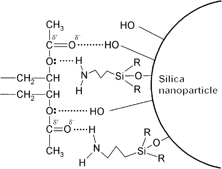 Figure 4: Proposal scheme of hydrogen bonds between ethylene vinyl acetate copolymer (EVA) and silica nanoparticle (SNP) modified by 3-aminopropyltriethoxysilane (APTES).