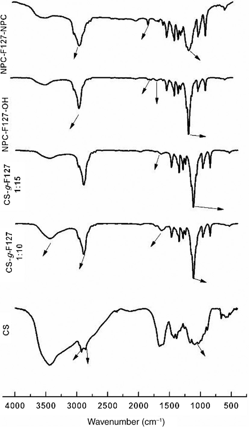 Figure 1: Fourier transform infrared (FTIR) spectra of the activated F127 (NPC-F127-NPC and NPC-F127-OH) and CP copolymer.