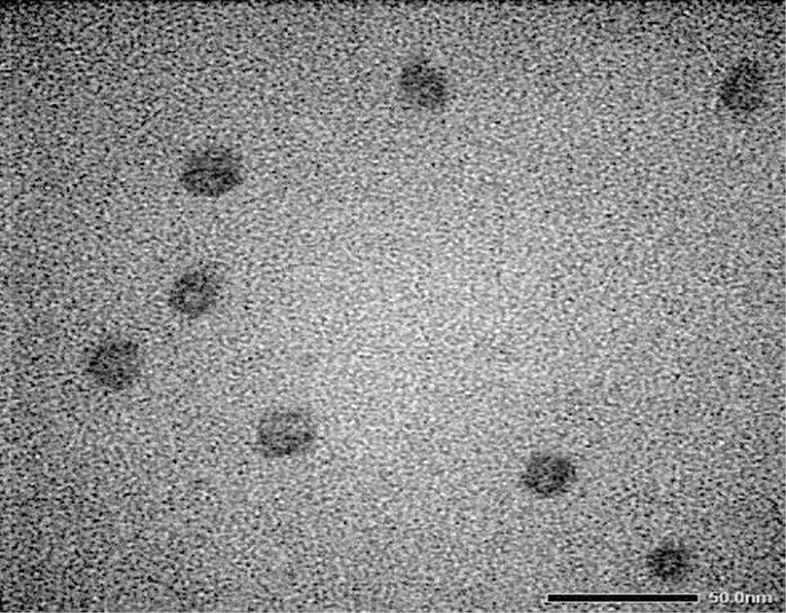 Figure 6: Transmission electron microscopy (TEM) of nanocurcumin (nCur) at scale 50 nm.