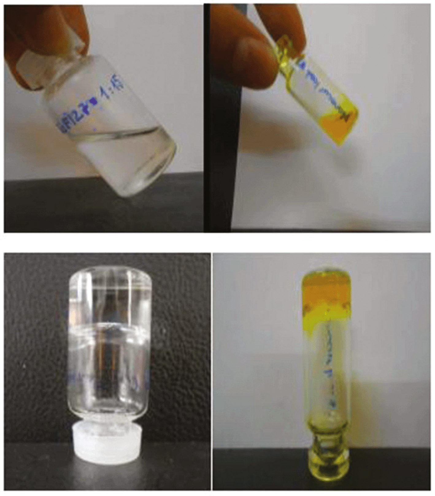 Figure 7: Appearance of blank CP copolymer and nanocurcumin (nCur)-loaded thermosensitive copolymer at 20°C (top) and 37°C (bottom), respectively.