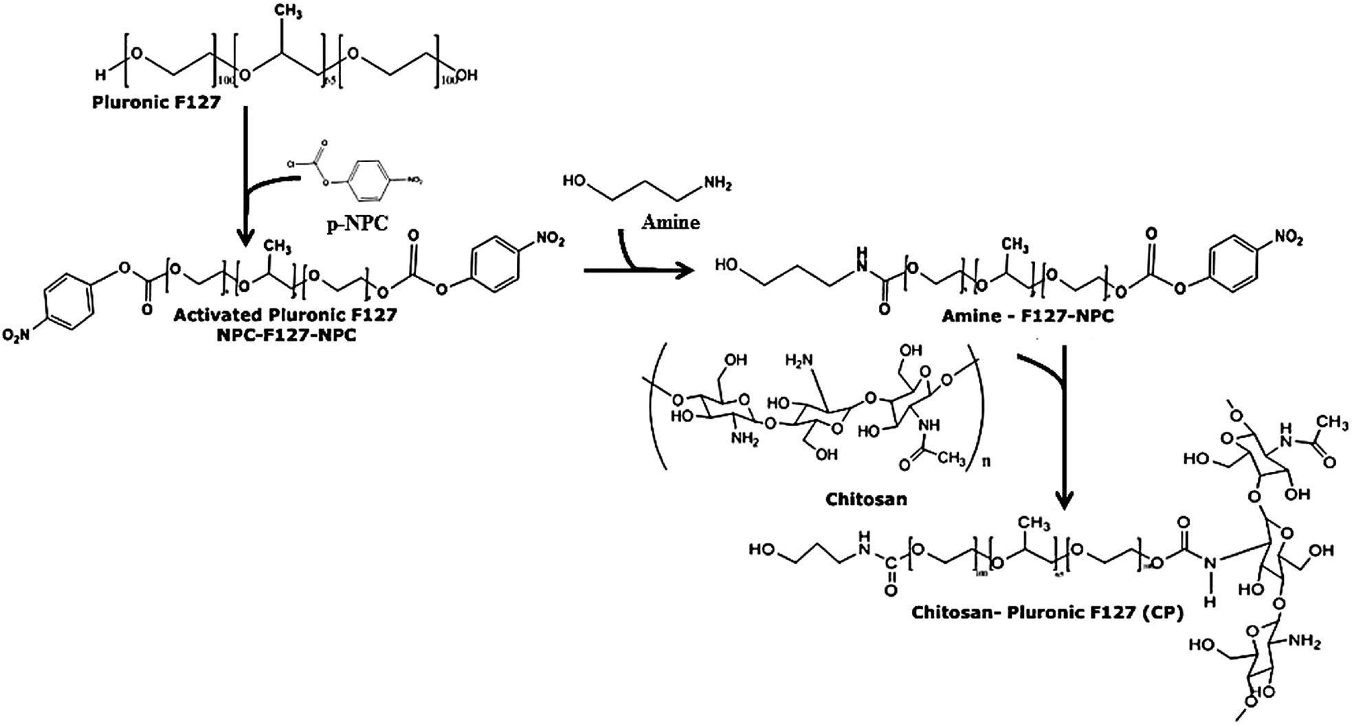 Scheme 1: A synthetic process of thermosensitive CP copolymer.