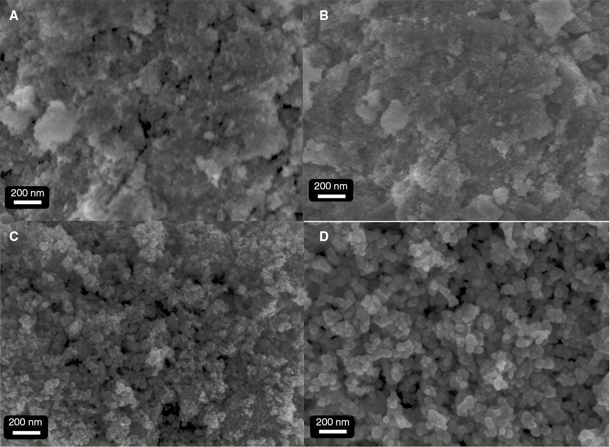 Figure 1: The field emission scanning electron microscopy (FESEM) images of the antimony-doped tin oxide (ATO) nanoparticles (NPs) (Sn/Sn+Sb=3% at.) obtained with calcination temperatures: (A) as-synthesized, (B) 500°C, (C) 800°C, and (D) 1000°C.