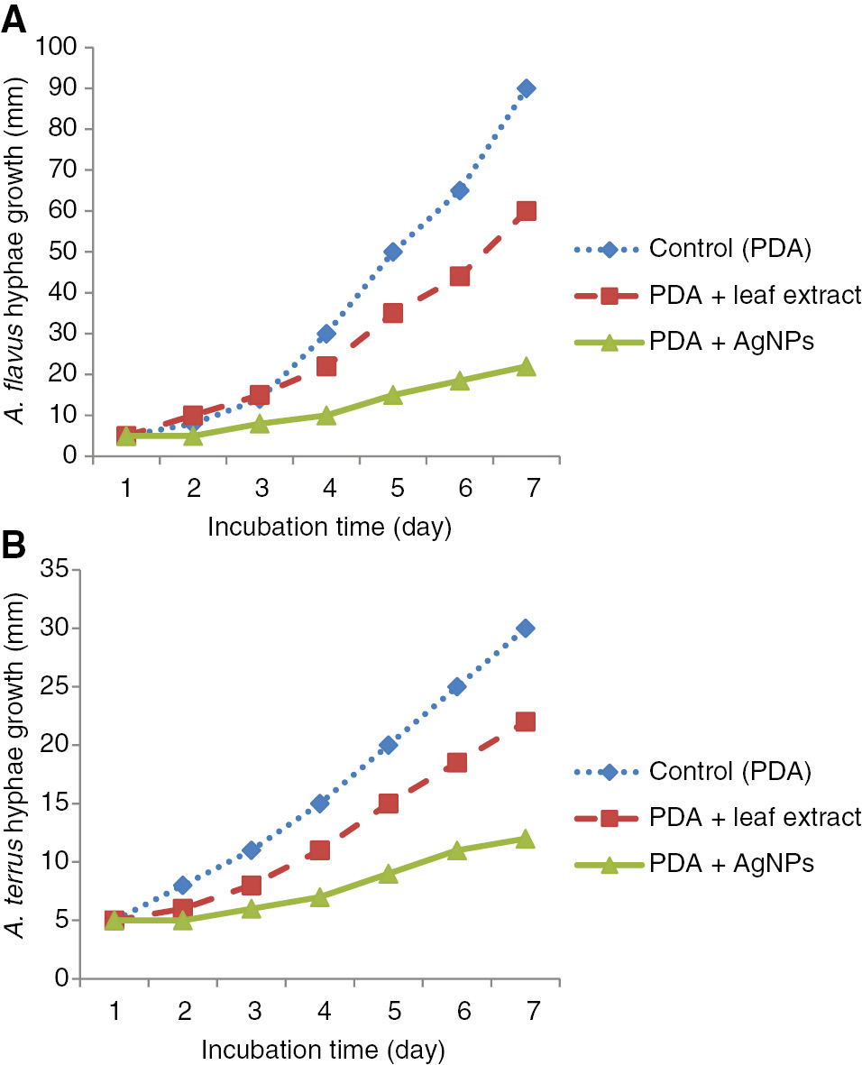 Figure 8: Antifungal activity of the synthesized AgNPs at obtained optimum conditions against Aspergillus flavus (A) and Aspergillus terreus (B). Data are the mean value of three replicates (each replicate contains four plates).
