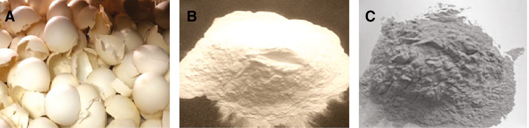 Figure 1: Photographs of (A) eggshells, (B) eggshell powder, and (C) carbonized eggshell powder.