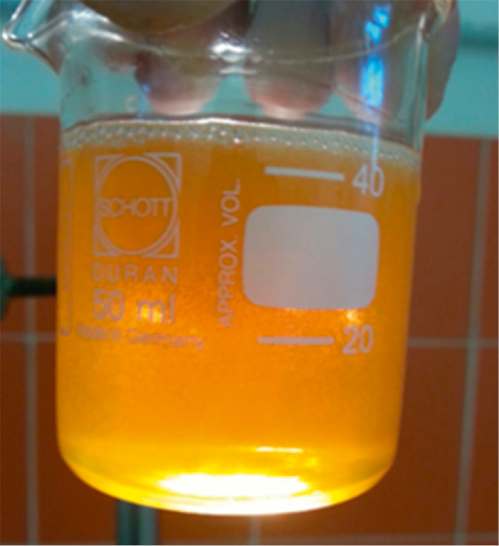 Figure 2: Dispersion of fine air bubbles in oil after treatment with the rotor-stator generator of HC.