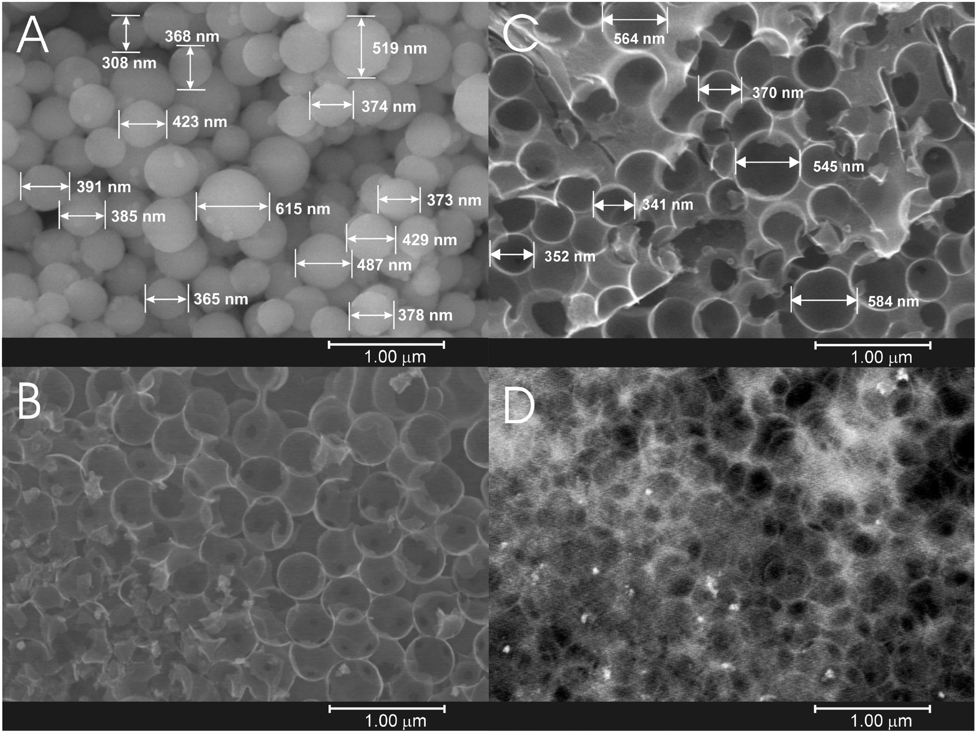 Figure 2: SEM pictures of (A) SNSs, (B) CCs, (C) 2.64FeCNRs using SE detector, and (D) 2.64FeCNRs using PDBSE detector.