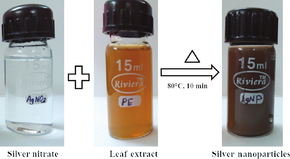 Figure 2: Formation of SNPs using BRLE.